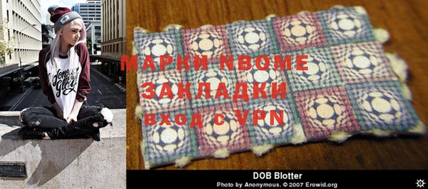 индика Беломорск