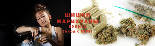 индика Беломорск