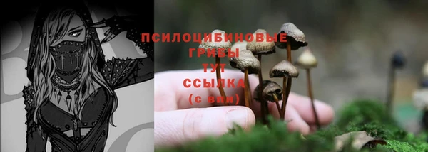 прущий лед Белокуриха