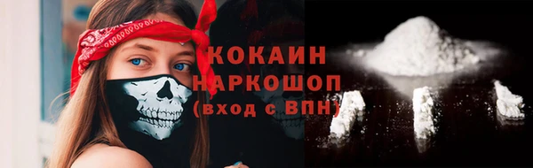 индика Беломорск
