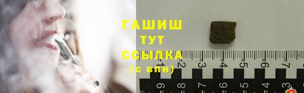 индика Беломорск