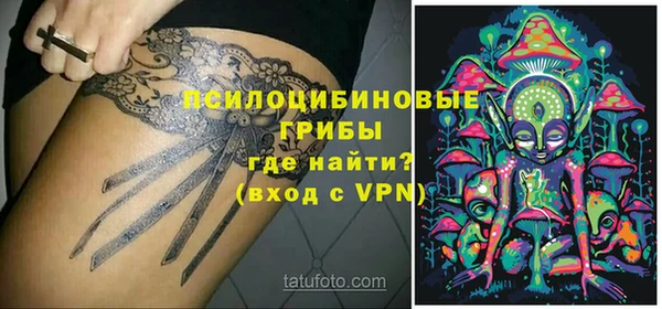 индика Беломорск