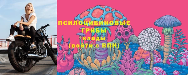 индика Беломорск