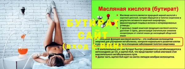 индика Беломорск