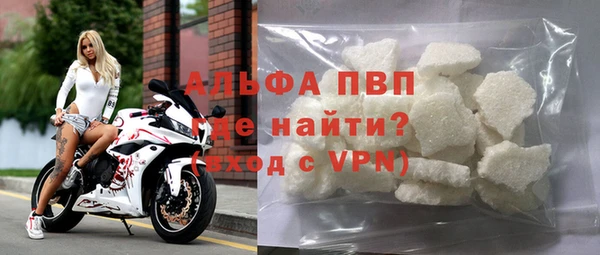 индика Беломорск