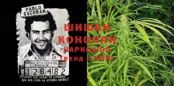 индика Беломорск
