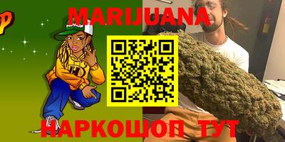 спиды Обь