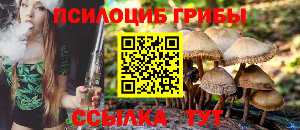 Галлюциногенные грибы Cubensis  Галлюциногенные грибы MAGIC MUSHROOMS  Буйнакск  Вход с VPN 